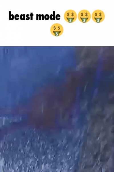 snmnnsmsnsnsnsnmmmmnnn