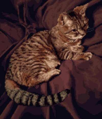 Cat, Me, Digital, 2021