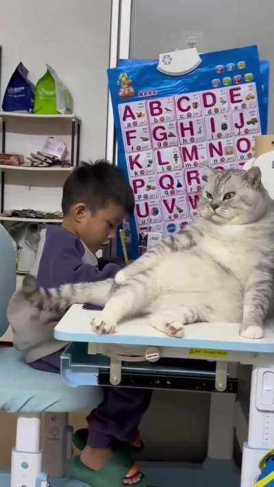 A very distinguished chonker