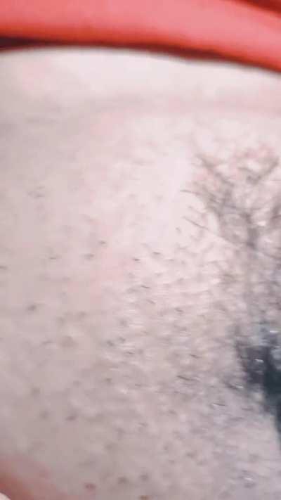 Do You Like My Pussy