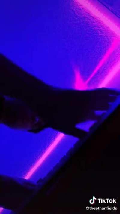 This slaps uncomfortably well