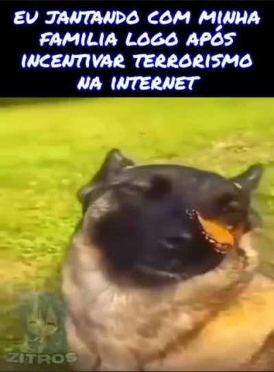 Boa parte da galera desse Sub