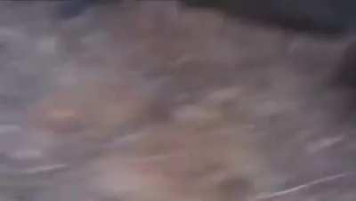 Russian extremely short range missile