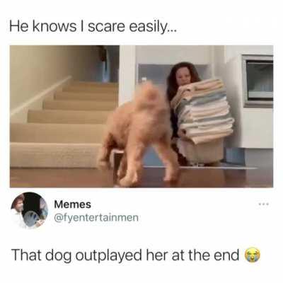 WoLf PoUnCiNg On UnSuSpECtInG pReY