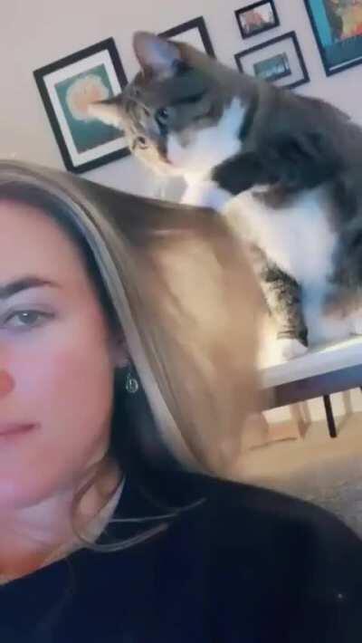 So What Are We Thinking, Just A Trim?