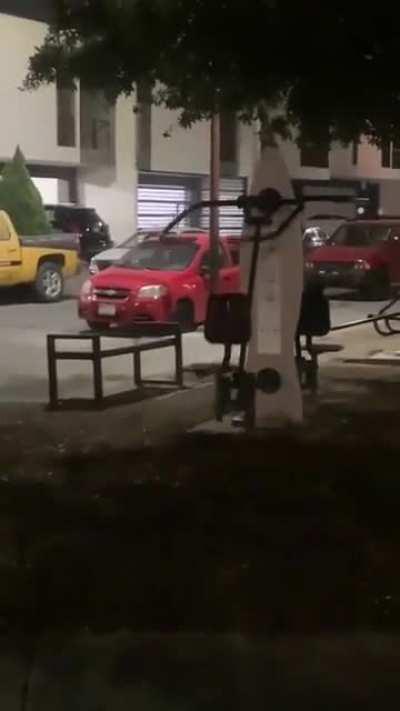 Beelce y los beelcitos cuando muera beelce