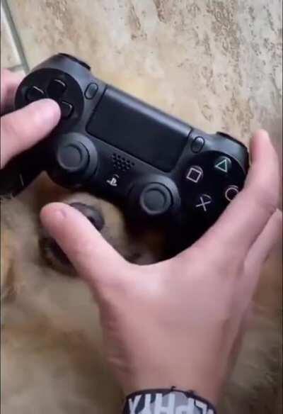 Для использования требуется двухфакторная аутентификация: сказать, кто хороший мальчик и дать колбаски