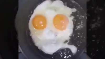 egg dropping a fresh beat