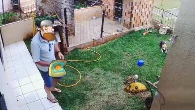 Blursed_PlantsVsZombies