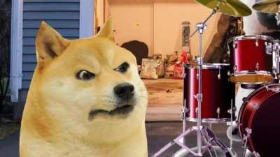 doge band practice