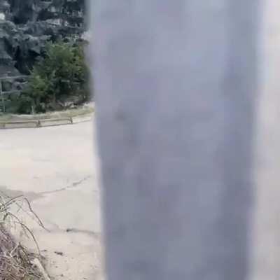 To save your lost child