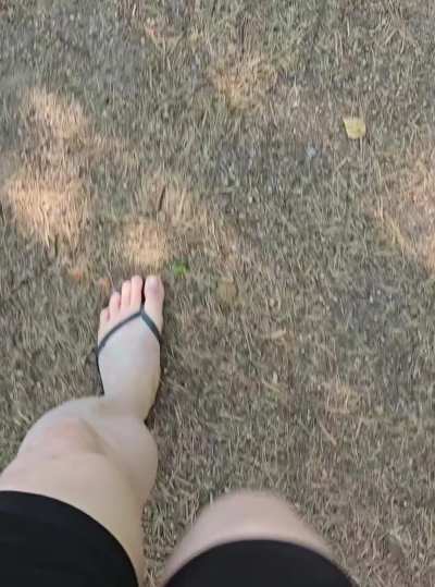 Flip flopping through the forest