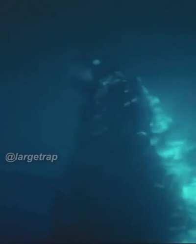 Duvidadores do Kong? cellGo