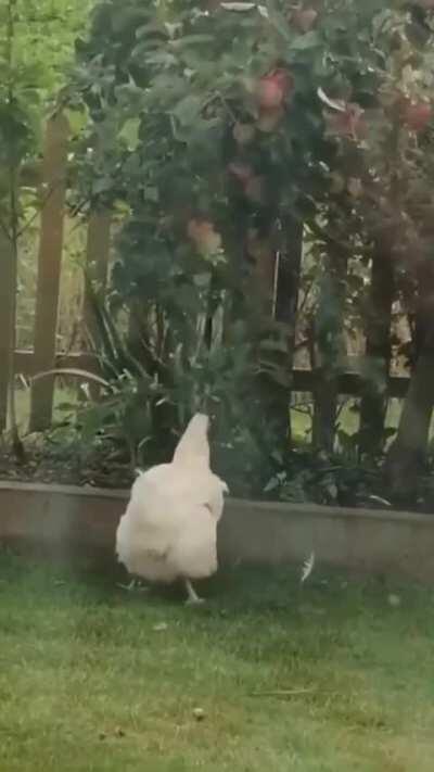 Strong determination