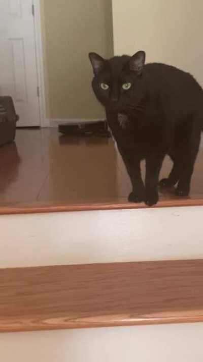 Charlie talks/squeaks all day long!