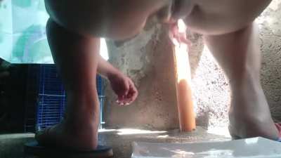 I need human toilet [F]