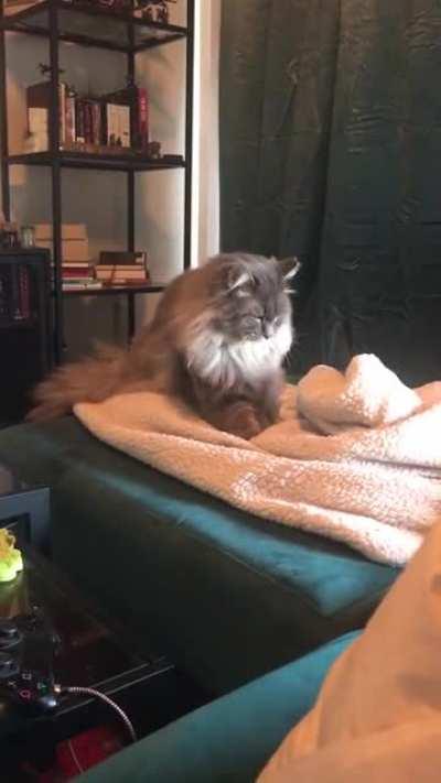 By the light of the morn, the old man makes biscuits like his mother taught him so long ago...