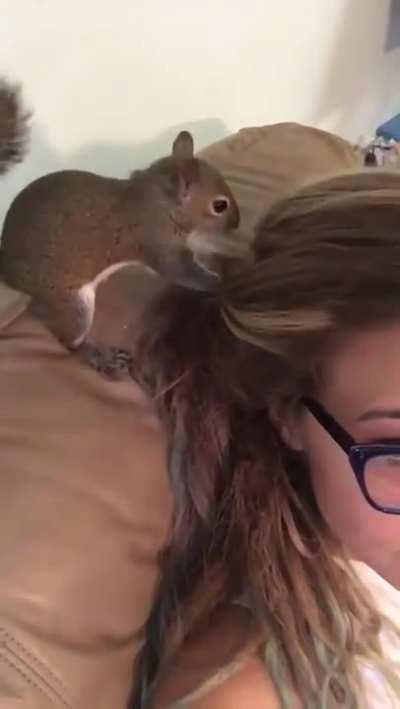 Perfect place to hide my cheeto