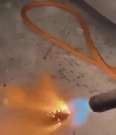 Coughing Baby vs Hydrogen Bomb energy