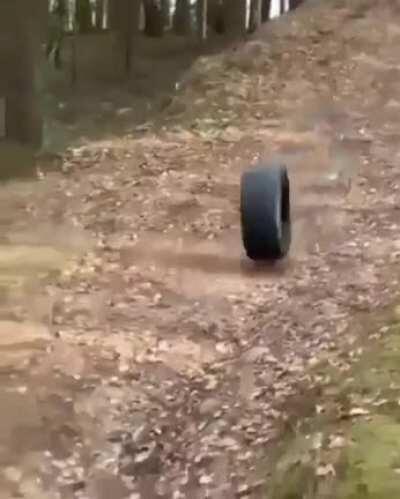 Brutal execution by Enemy