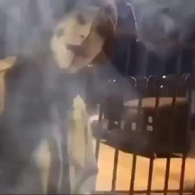 For the people that wanted the weed video😭