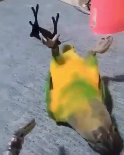 And the Oscar goes to.......