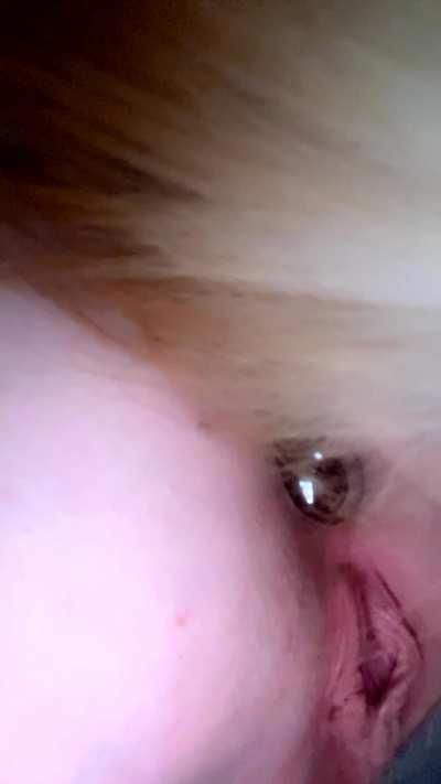 Can you help me put my tail in?🥺🐶