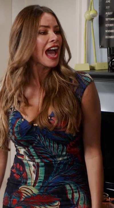 only direction to sofia vergara from the creator of modern family was 