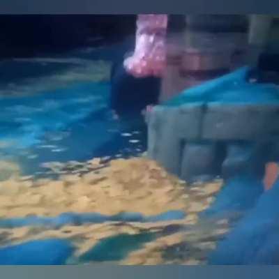 Feel bad for this lady