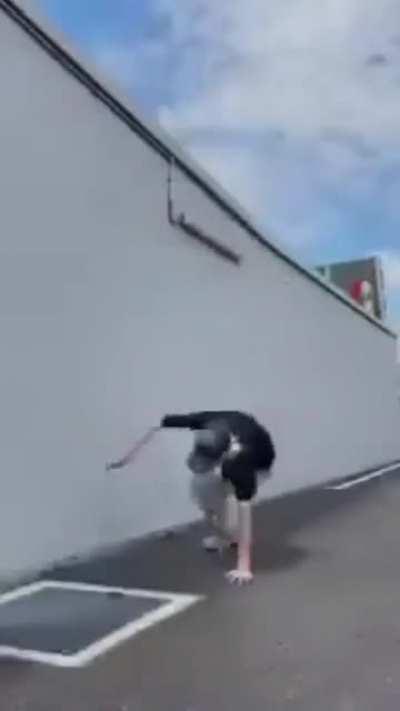 how to flip tutorial for samay bhai.