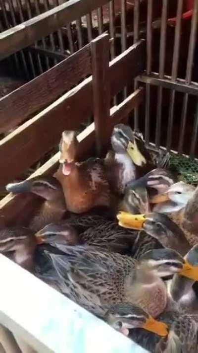 Found this from last year. Saved it for a rainy day