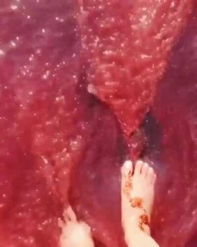 🔥 Rainbow island, Iran