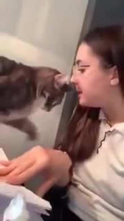 Do you think it is a violation of animal rights?