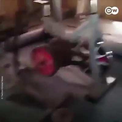 The Taliban after capturing Afghanistan.