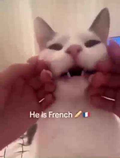 Most political thing I'll ever post 