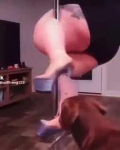 [SFW] Snail | [SFW] Chicken