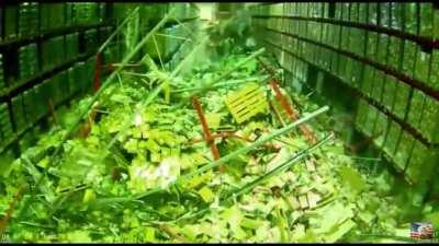 HMFT after i try to sneak past