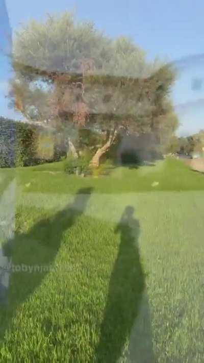 Least japan obsessed west*id