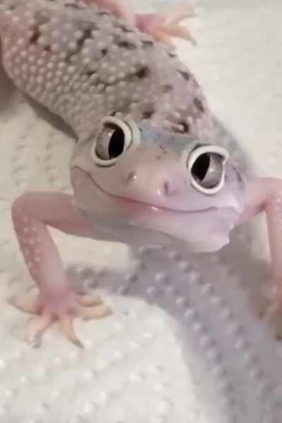 Bu minik şey beni korkutuyor