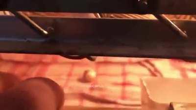 The man found a parrot egg and decided to try to raise a chick.