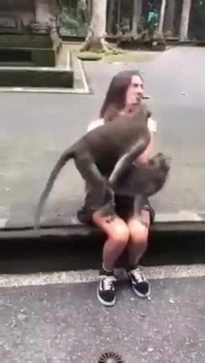 Photobombing Masterclass