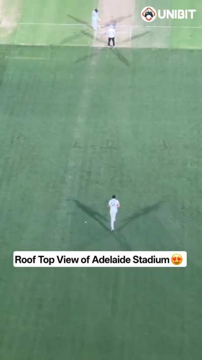 gorgeously stunning (& dangerous!) 