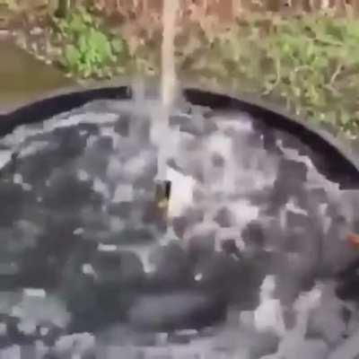 A state of truce with r/hydrohomies