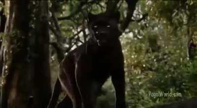 Vishal Bhardwaj and Gulzar recreating 