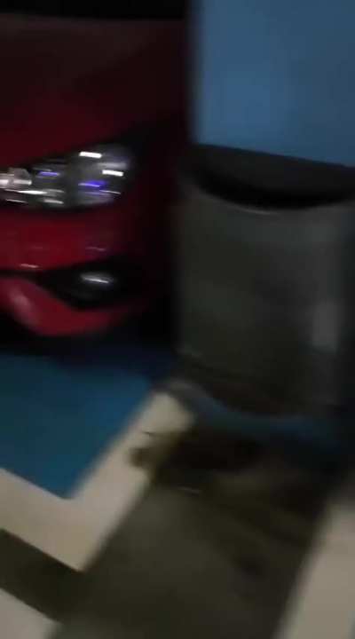 Found two license plates in sequence, right next to each other.