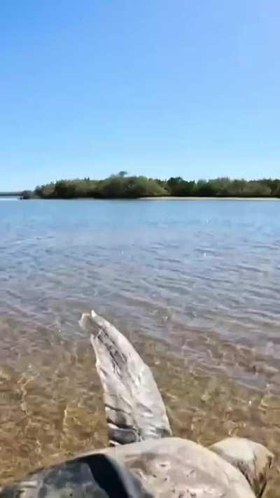 Lucky Stars for this guy!!!