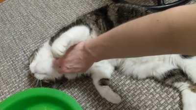 Claire would like some chin scratches, please