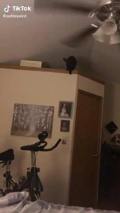 eight lives remaining