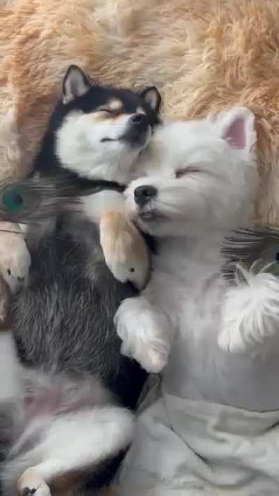 A Relaxing SPA Day Together