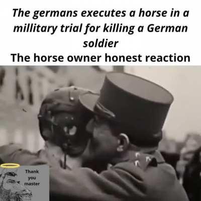 Dont mess with a human best friend